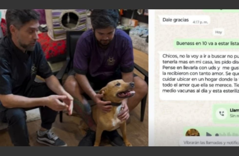 Indignación en la zona sur de Rosario: llevó a su perra a bañar a un pet shop y la abandonó por mensaje