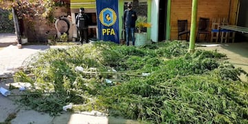 La Policía Federal detuvo a un ex policía del Grupo Especial de Seguridad que vendía marihuana.