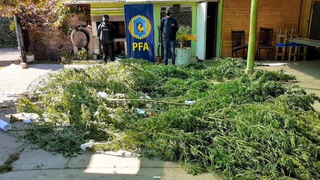 La Policía Federal detuvo a un ex policía del Grupo Especial de Seguridad que vendía marihuana.