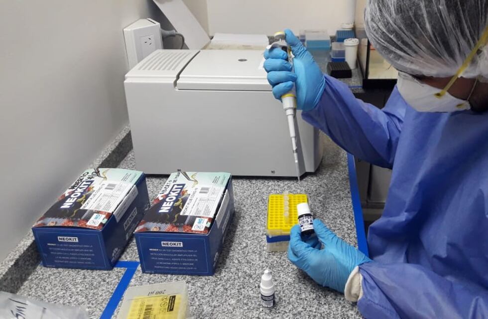 Coronavirus en San Luis: este martes hubo 13 muertos y  551 nuevos casos de Covid-19