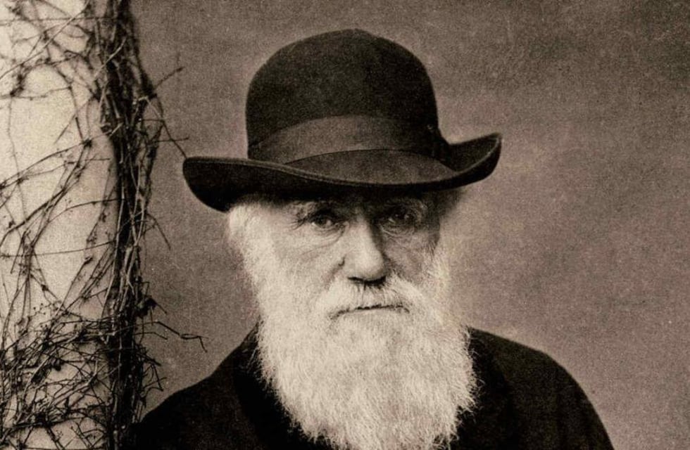 Día Mundial de la Evolución: por qué se celebra cada 24 de noviembre en honor a Charles Darwin