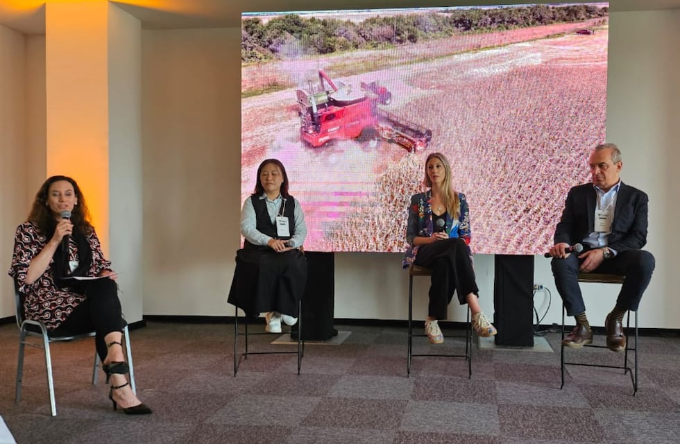 Crecen las inversiones chinas en Argentina: litio, minería y energía en el centro de la agenda