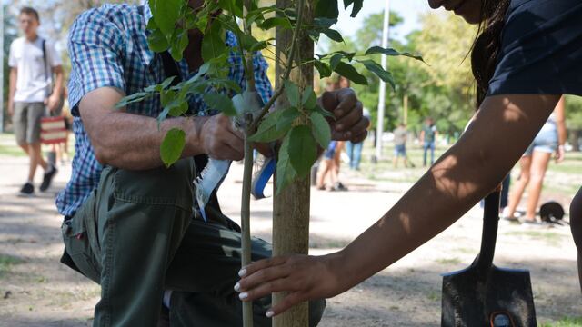 La Municipalidad de la Ciudad de Mendoza solicita voluntarios para trabajar en medio ambiente. / Gentileza Municipalidad de la Ciudad de Mendoza