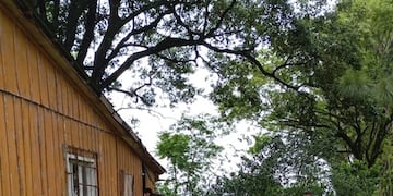 Detienen a un hombre que intentó incendiar una vivienda deshabitada en Campo Viera.