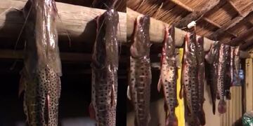 Los surubíes colgados de una columna en Corrientes. Foto: captura de video.