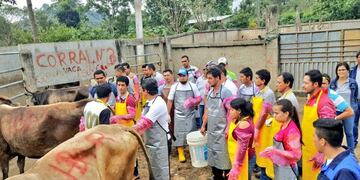 Capacitación a inseminadores