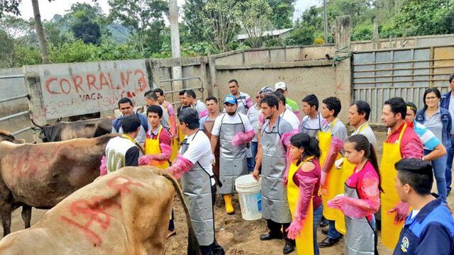 Capacitación a inseminadores