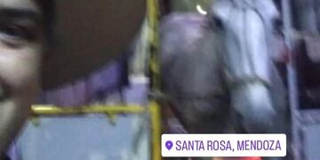 El caballo que viajó en colectivo en Santa Rosa junto al chico autor de la foto.