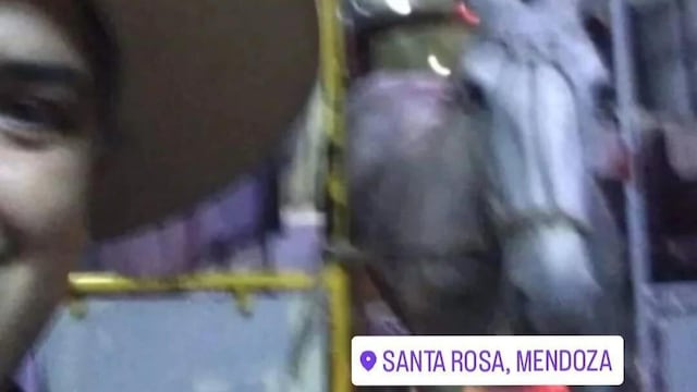 El caballo que viajó en colectivo en Santa Rosa junto al chico autor de la foto.