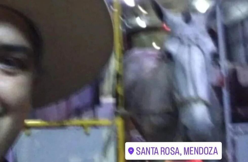 Inédito: un caballo viajó en colectivo en Santa Rosa  se volvió viral en redes