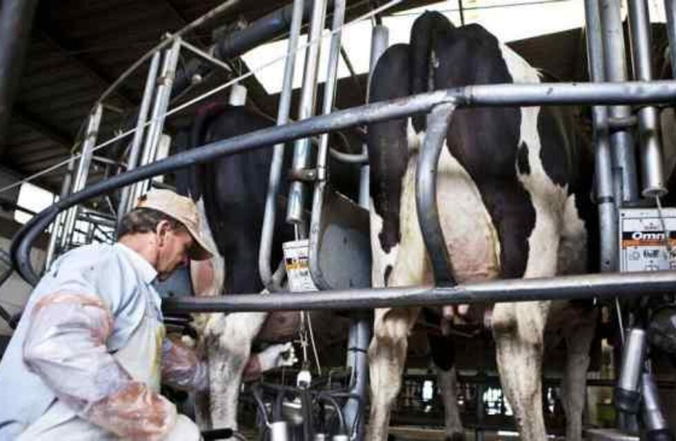 Santa Fe cerrará el 2024 con un negativo del 10% en la producción de materia prima
