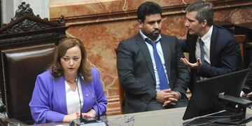 Cecilia Moreau en Diputados. Foto: Federico Lopez Claro