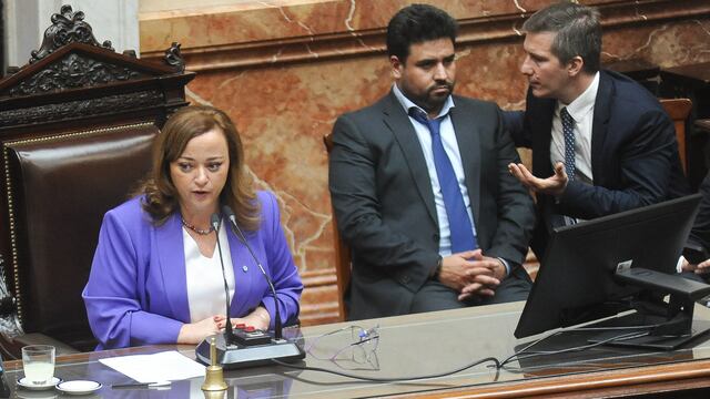 Cecilia Moreau en Diputados. Foto: Federico Lopez Claro