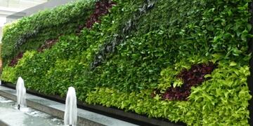 La UNNE realizó un estudio sobre la aplicación de envolventes vegetales en la construcción en Chaco