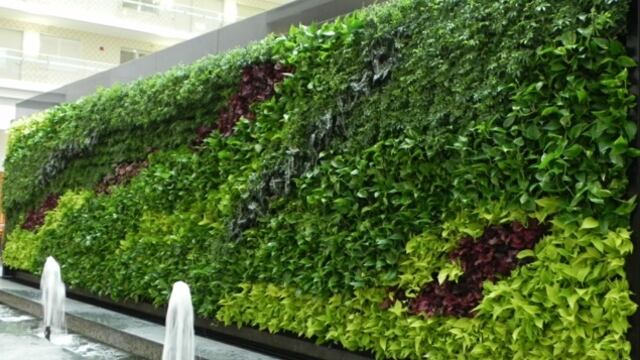 La UNNE realizó un estudio sobre la aplicación de envolventes vegetales en la construcción en Chaco