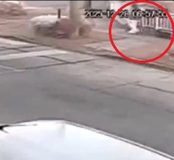 Janet es seguida por un perro negro antes de ser atacada