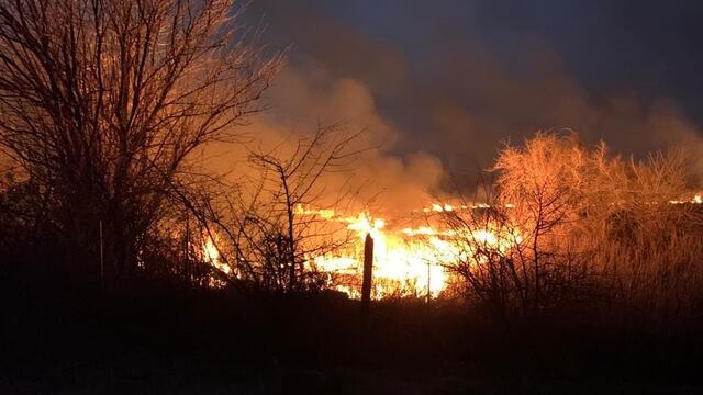 Más de 170 bomberos voluntarios intentan combatir el foco, en un día de riesgo extremo de incendios.