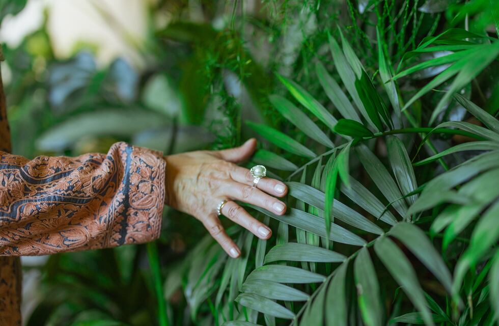 Su abuela está enferma y ellos venden plantas para pagar el tratamiento