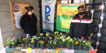 La ONG Amanecer y el supermercado Arco Iris de Pérez apuestan a un proyecto común (Leticia Pallotto)