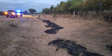 El intento de quema de desmonte en Córdoba.