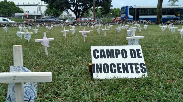 Militantes provida montaron un cementerio de bebés en el Parque 20 de Febrero