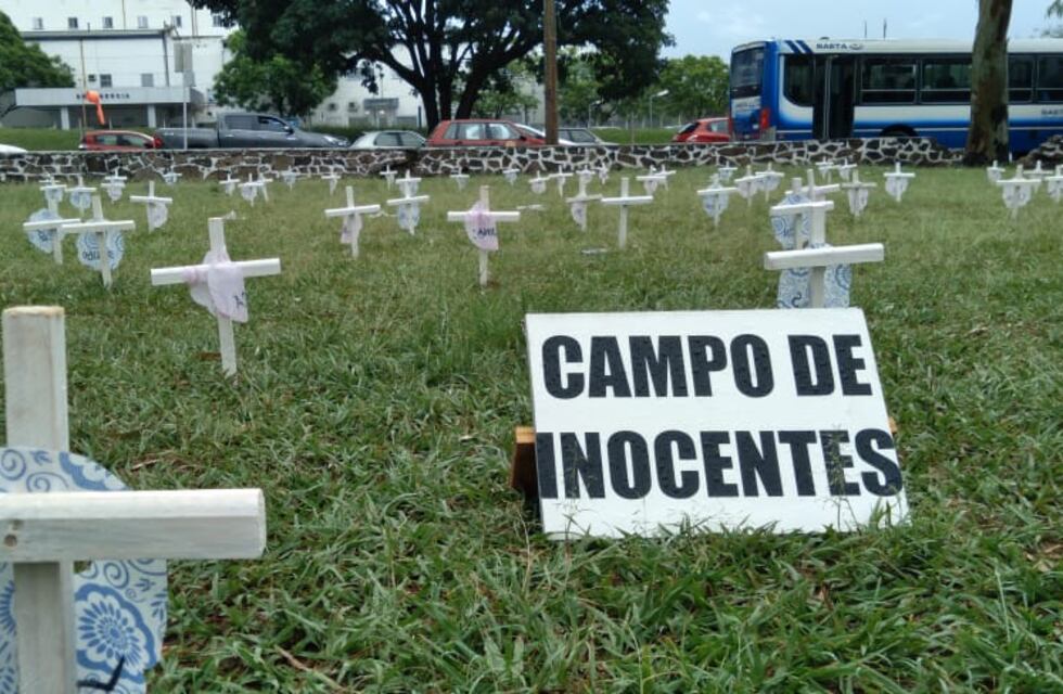 Militantes provida montaron un cementerio de bebés en un parque salteño