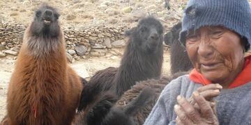 Doña Lorenza Mamaní recibió el alta médica