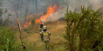 Unos bomberos de Chubut quedaron encerrados en las llamas en el Parque Nacional Los Alerces.