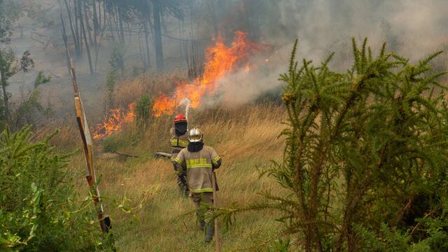 Unos bomberos de Chubut quedaron encerrados en las llamas en el Parque Nacional Los Alerces.