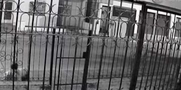 Simulan revisar basura, pero se roban los medidores instalados en las veredas de Córdoba.