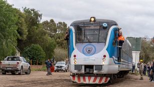 Una formación de Tren de las Sierras chocó contra un auto en la ciudad.