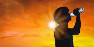 Cuándo se espera una ola de calor en Argentina y qué zonas afectará.