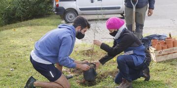 Se plantaron 40 nuevas especies nativas en el Parque Italia de Carlos Paz.