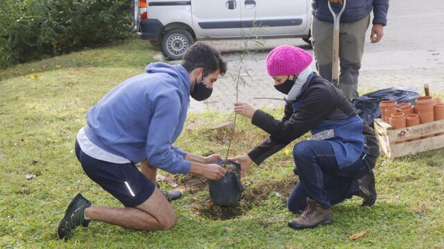 Se plantaron 40 nuevas especies nativas en el Parque Italia de Carlos Paz.