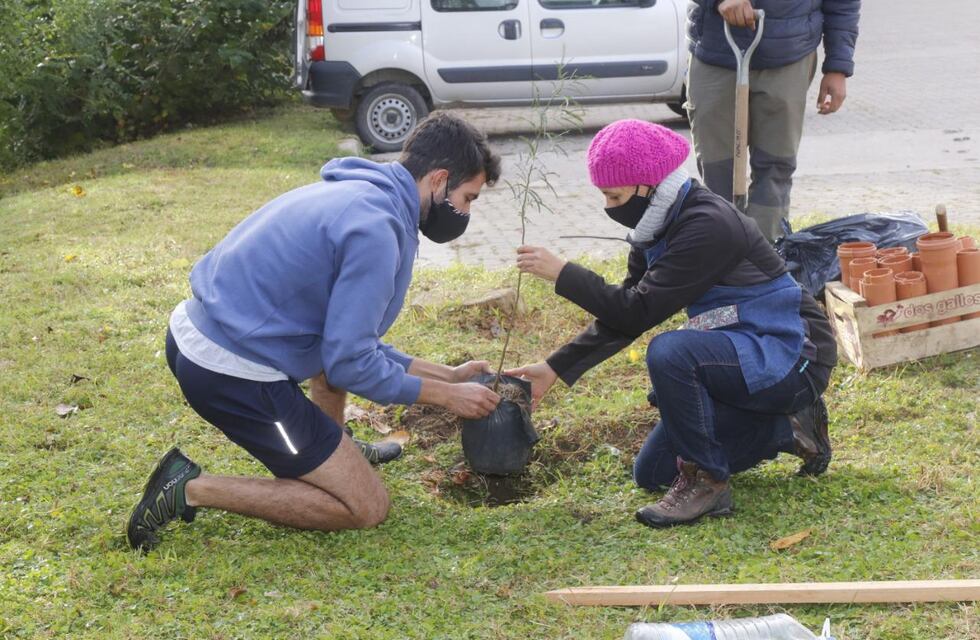 El Parque Italia de Carlos Paz ya cuenta con 40 nuevos árboles y arbustos nativos