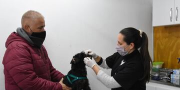 Ya atiende el Centro de Atención Primaria de Mascotas