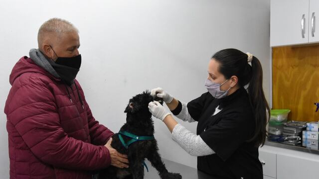 Ya atiende el Centro de Atención Primaria de Mascotas