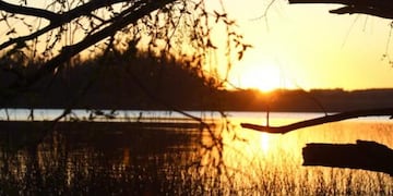 Además, otro proyecto recibió una mención especial.