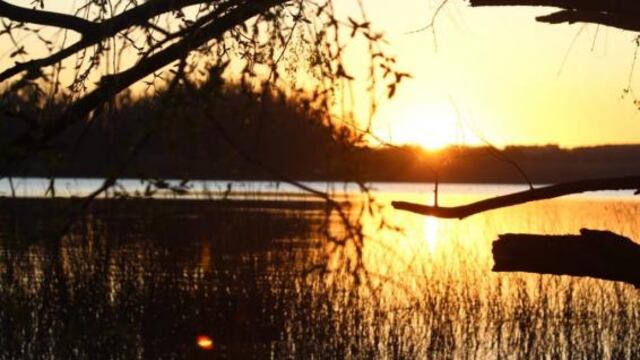 Además, otro proyecto recibió una mención especial.