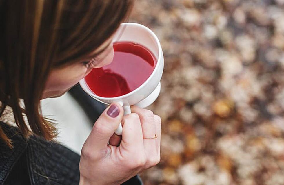 El cultivo de Té en Argentina