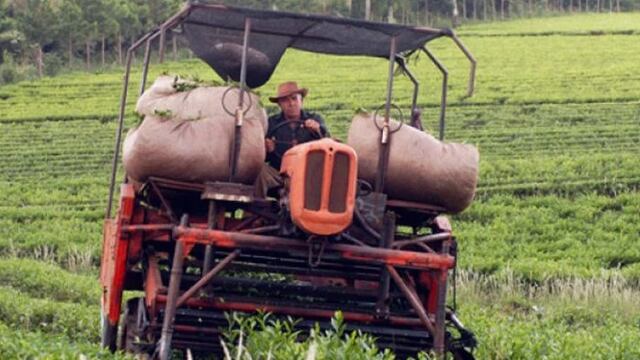 El Gobierno de Misiones impulsa créditos para el sector tealero.