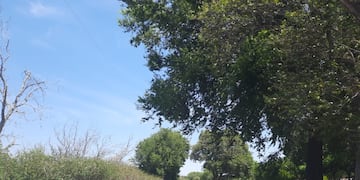 Capayán: inició la pavimentación de la Ruta 141