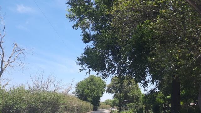 Capayán: inició la pavimentación de la Ruta 141