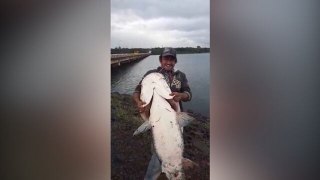 El video se hizo viral en redes sociales pero no se sabe si este animal capturado fue devuelto al río.
