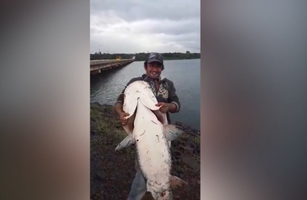 Posadas: pescaron un surubí de 30 kilos en Villa Cabello