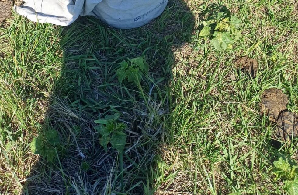 Guardia Urbana y Centro de Monitoreo actuaron contra un ladrón