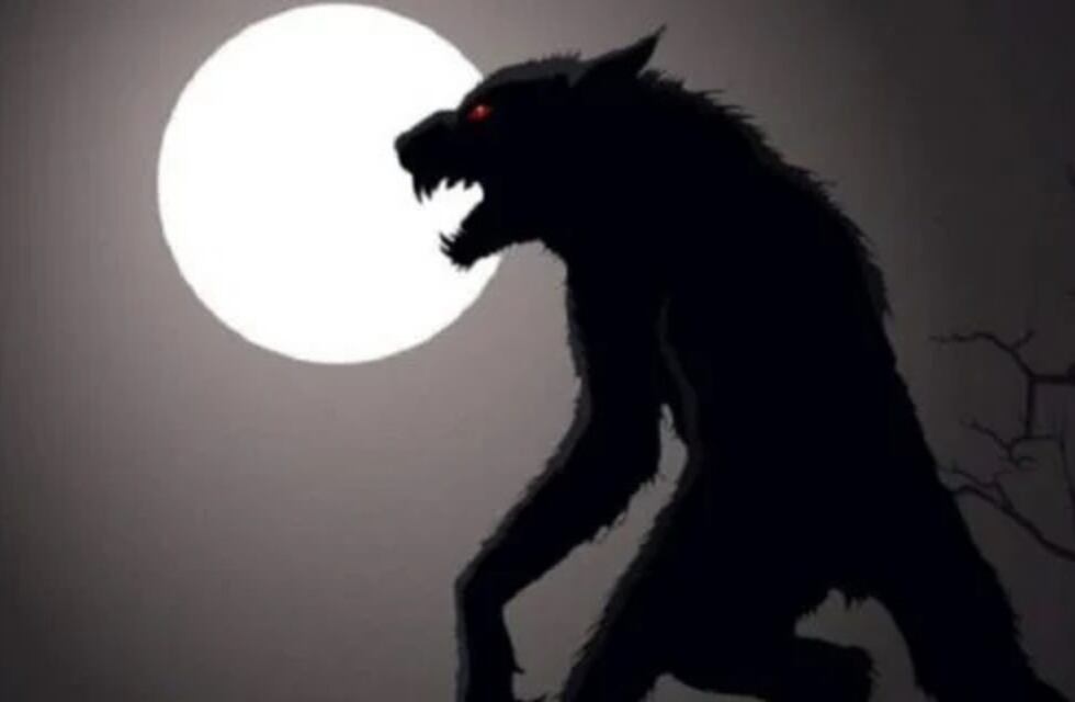 “Caminaba en cuatro patas y galopaba”, contó el hombre que asegura haber visto al lobizón en un barrio de Posadas