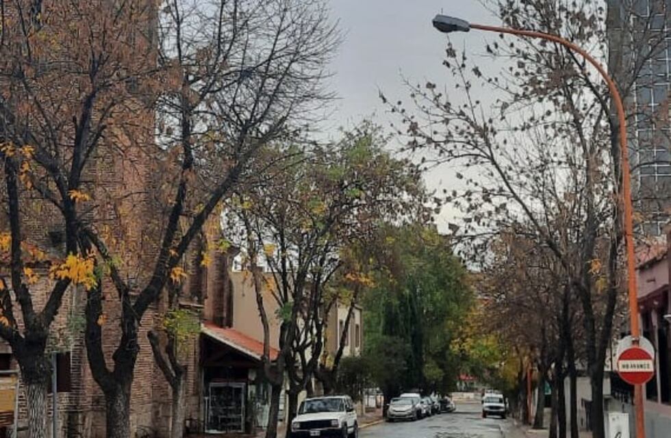 Clima: máxima de 16 grados para hoy con pronostico de un fin de semana otoñal