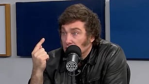 Javier Milei habló con Fantino. Foto: Captura de video