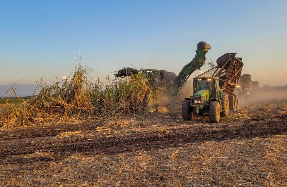 Es inminente la zafra en Jujuy y cañeros buscan asegurar puestos de trabajo
